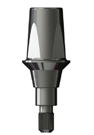 Universal Abutments Massive Long