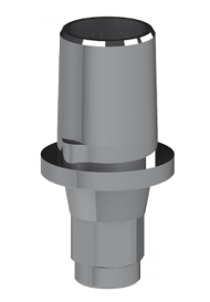 Plus Adhesive Abutment