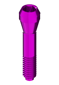 Connection Massive Screw