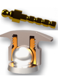 Female TE Elliptically