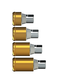 XL-Maximus NC Two Pieces