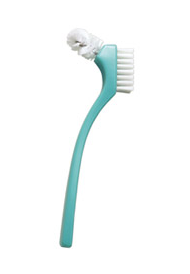 Denture Brush